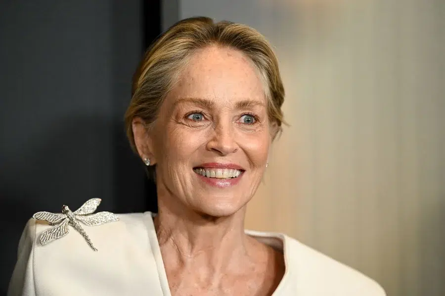 Sharon Stone Age
