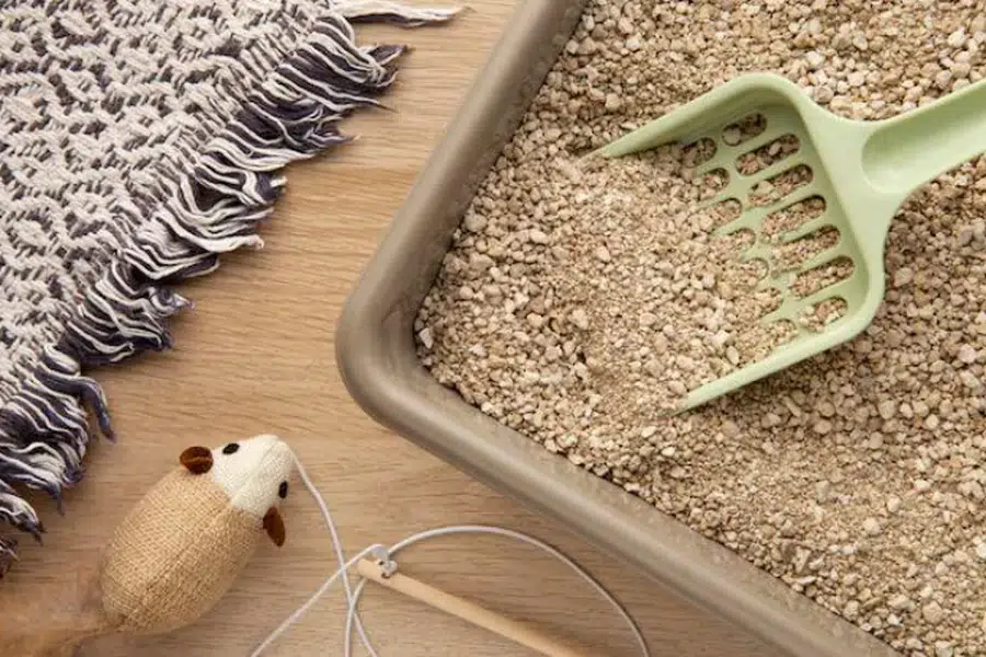 What is Clumping Cat Litter