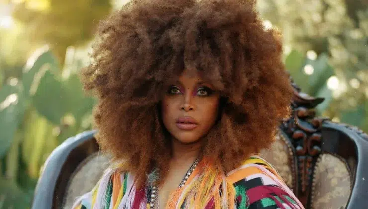 Erykah Badu Net Worth