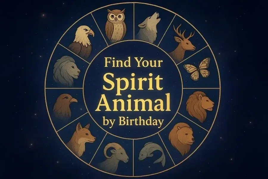 My Spirit Animal by Birthday