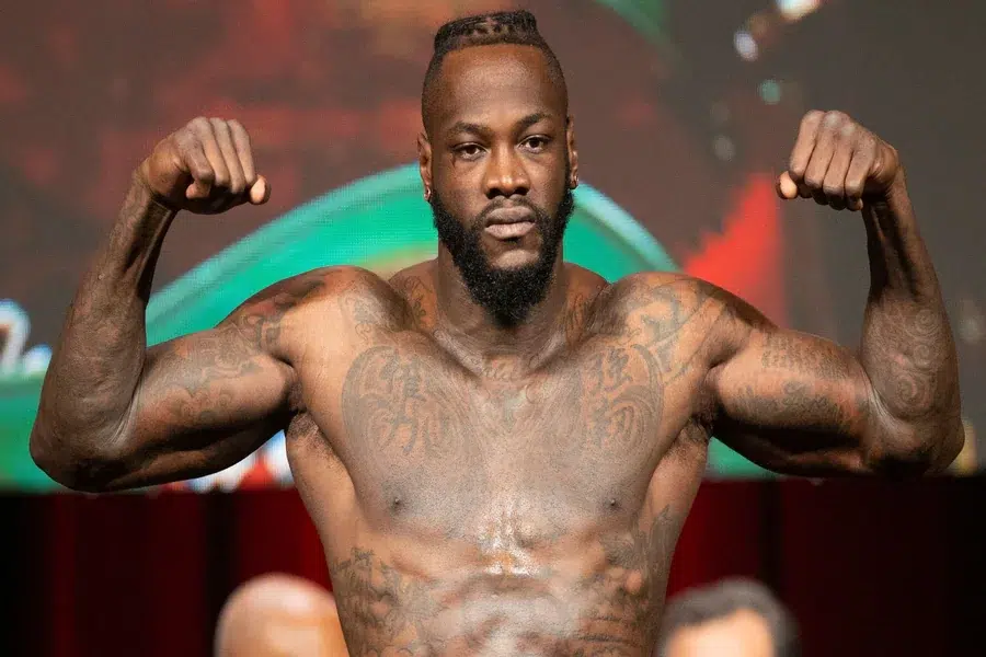 deontay wilder net worth