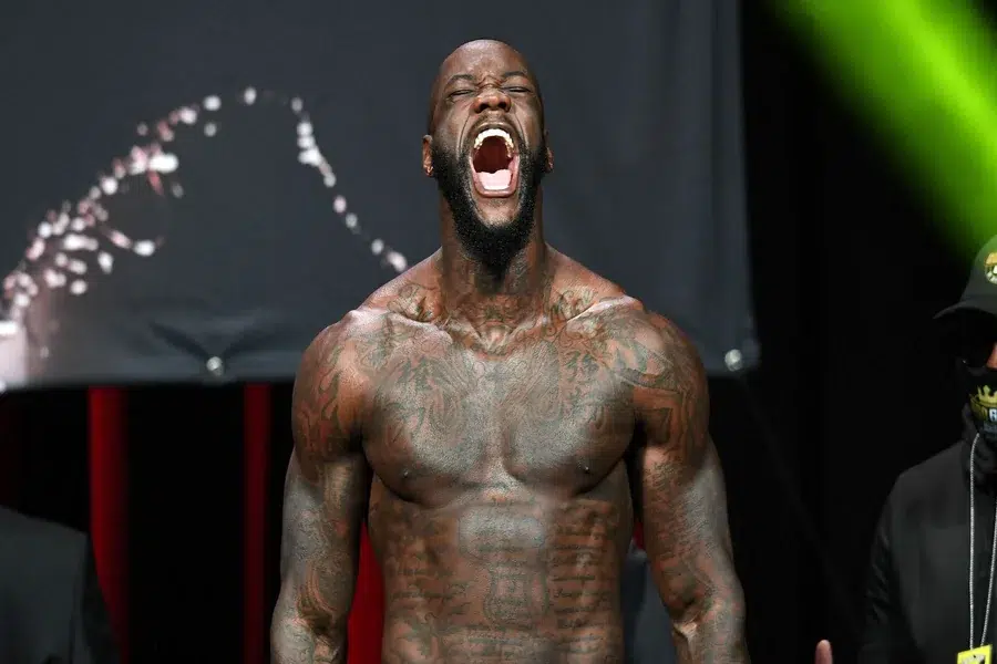 deontay wilder net worth