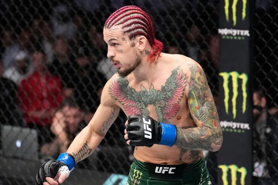 sean o'malley net worth