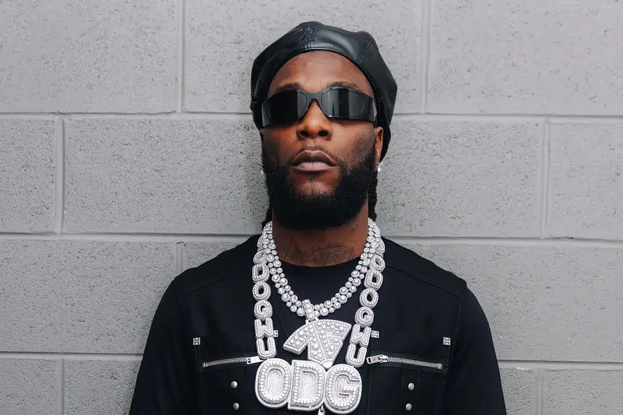 Burna Boy Net Worth