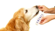 Dog Supplement